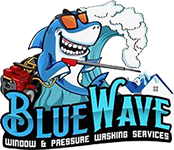 Blue Wave Window and Pressure Washing, CA